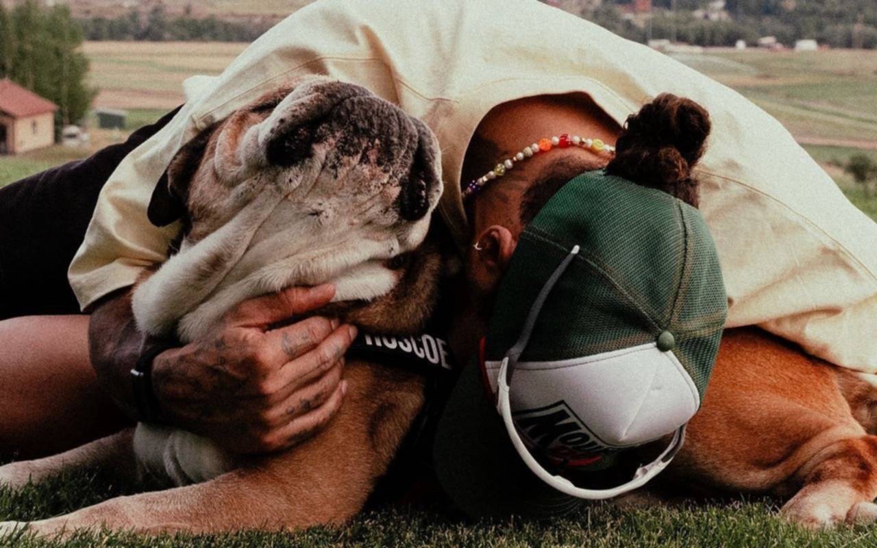 El sentido mensaje de Lewis Hamilton por la muerte de su perro