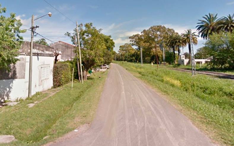 ¿Escapó o la robaron? El drama por una perra