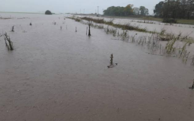 Un candidato lilito apuntó a Nación por las inundaciones