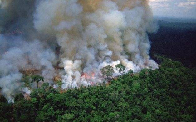 ¿Quién prende fuego a la Amazonía brasileña?