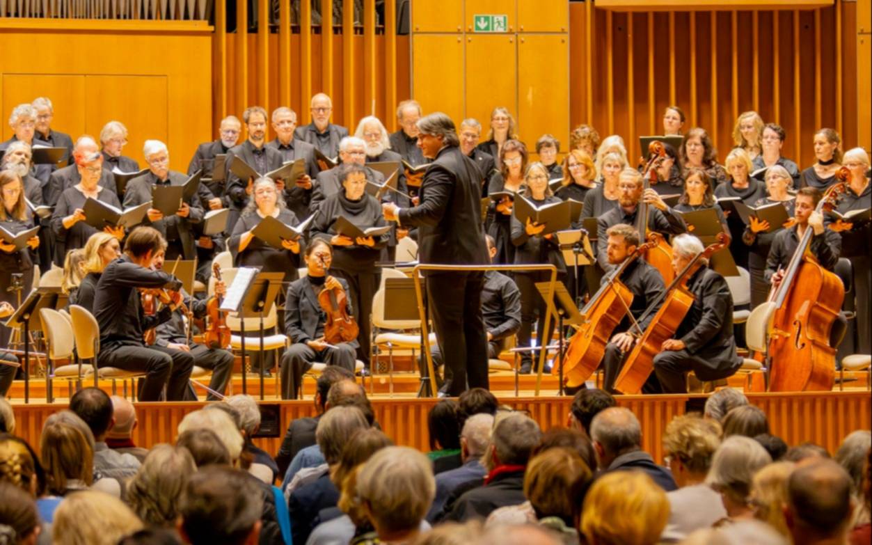 LiberArte: puente cultural entre Argentina y Alemania