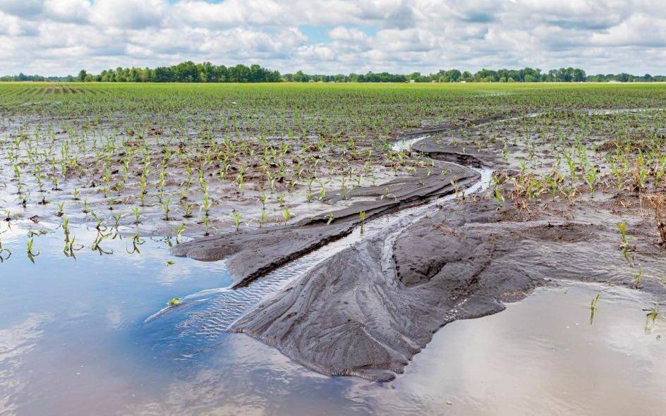 Otra vez las aguas inundan la llanura fértil de la Provincia