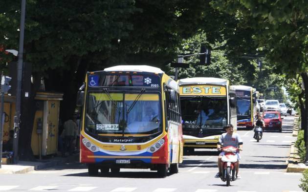 Tratan en comisión el pliego del transporte
