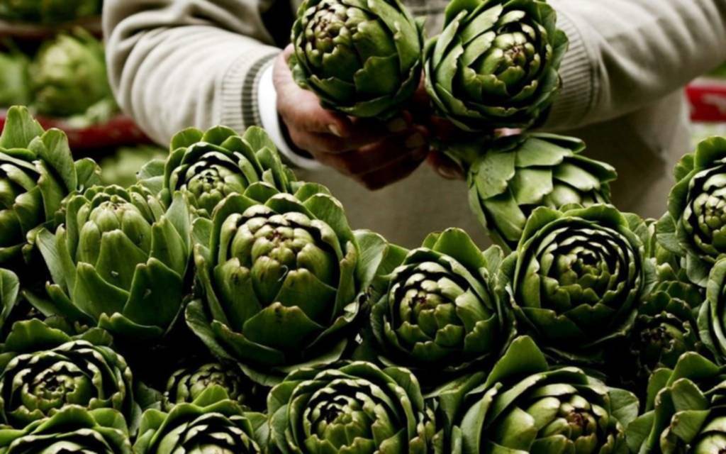 “El Camino del Alcaucil”, el 7 de diciembre en Villa Garibaldi