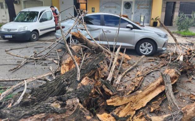 Otra vez una intensa tormenta causó trastornos en la Región