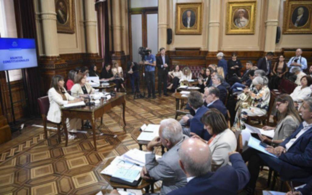 La rionegrina Villaverde no asumirá por ahora