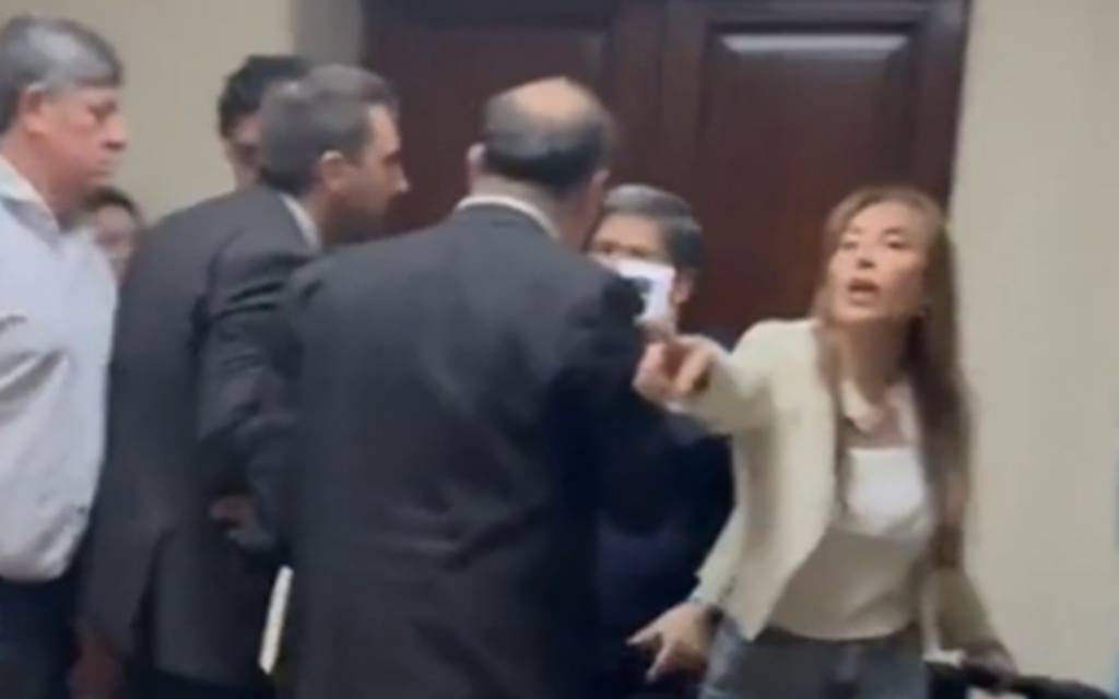 Empujones y gritos por un lugar en el Senado