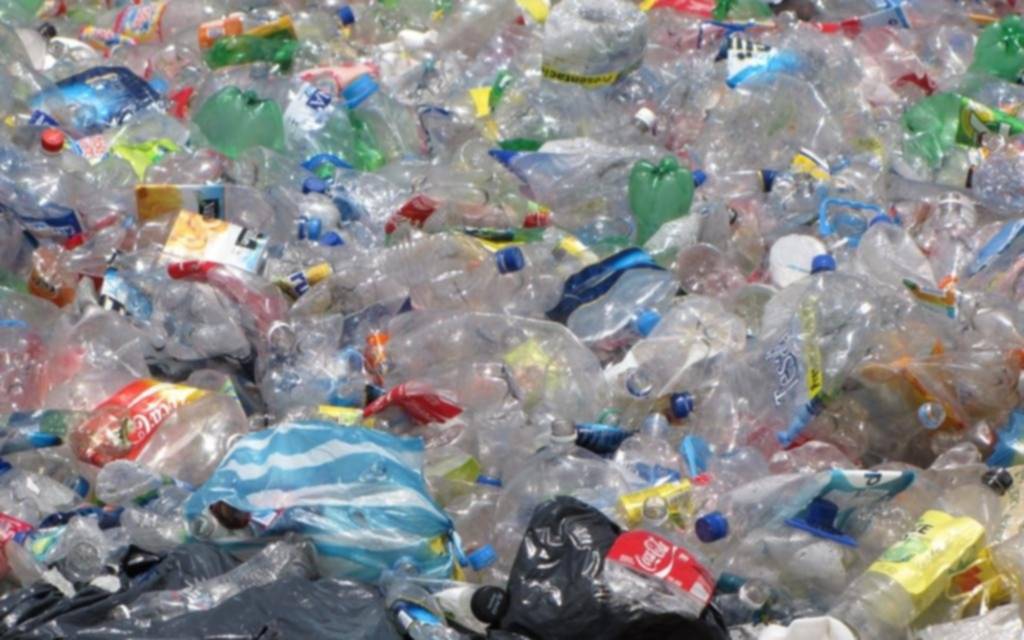 Advierten sobre el impacto de la contaminación plástica en La Plata