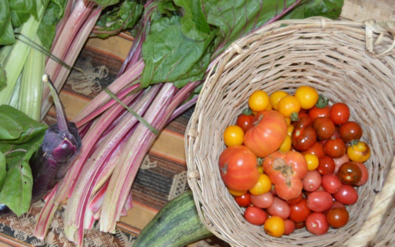 Con alimentos sanos y naturales, llega la Feria Agroecológica a La Plata
