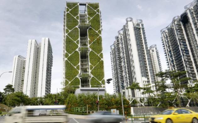 Hasta 24 azotes para los estafadores en Singapur