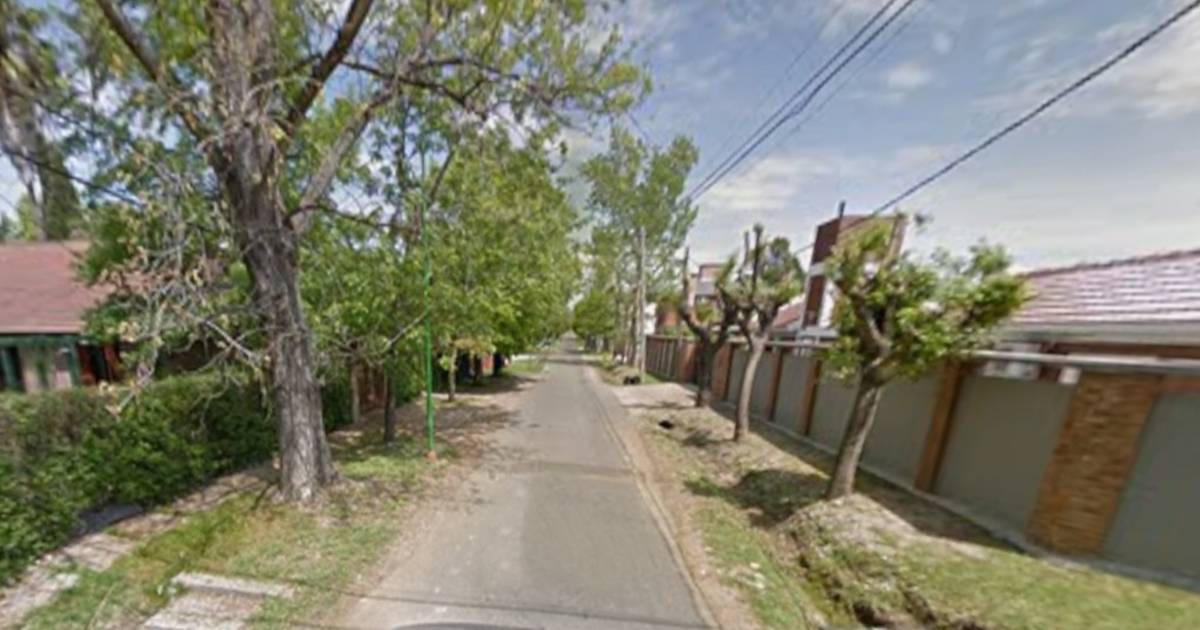 Quejas en Gonnet por zanjas obstruidas y la invasión de roedores | El Dia