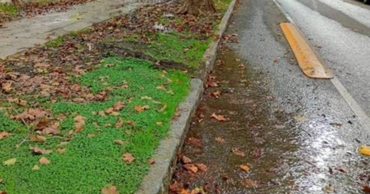 Crecen las quejas por las pérdidas en la calle | El Dia