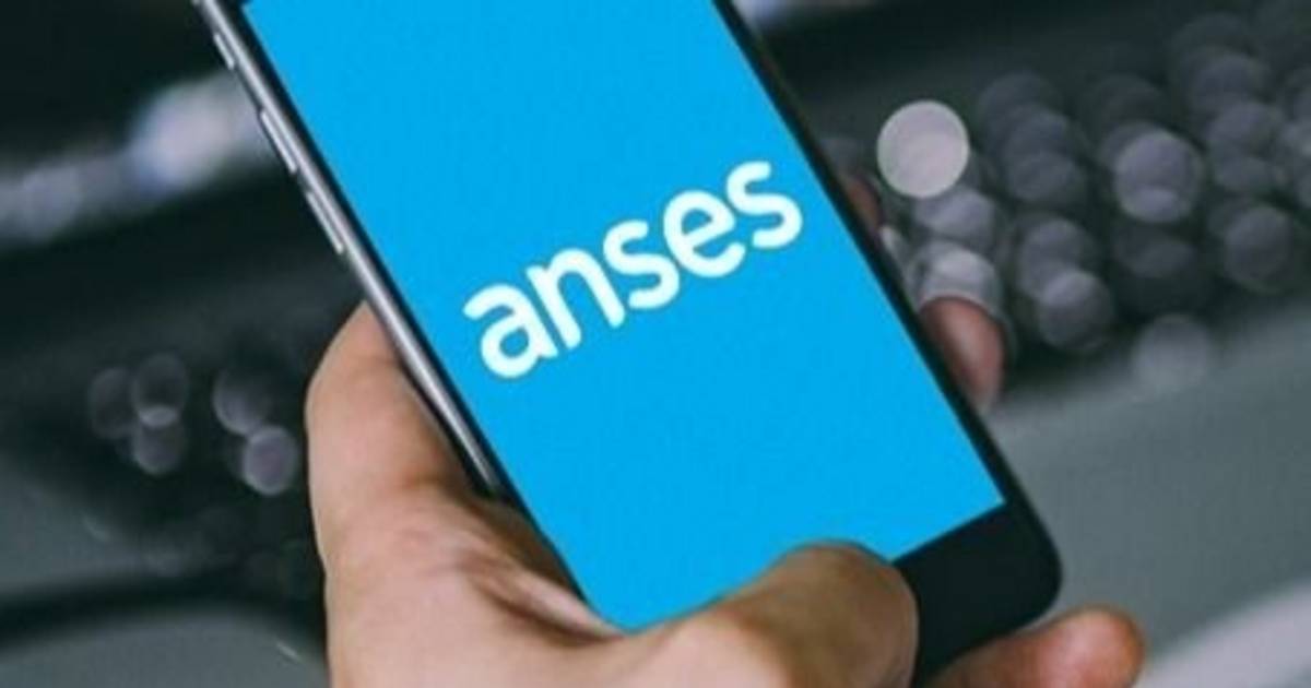 Constancia de aportes: se puede obtener por Internet | El Dia