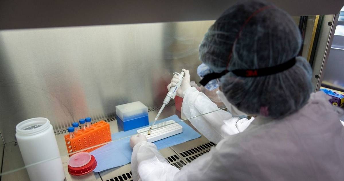 Mejoran el pronóstico en casos de cáncer infantil | El Dia