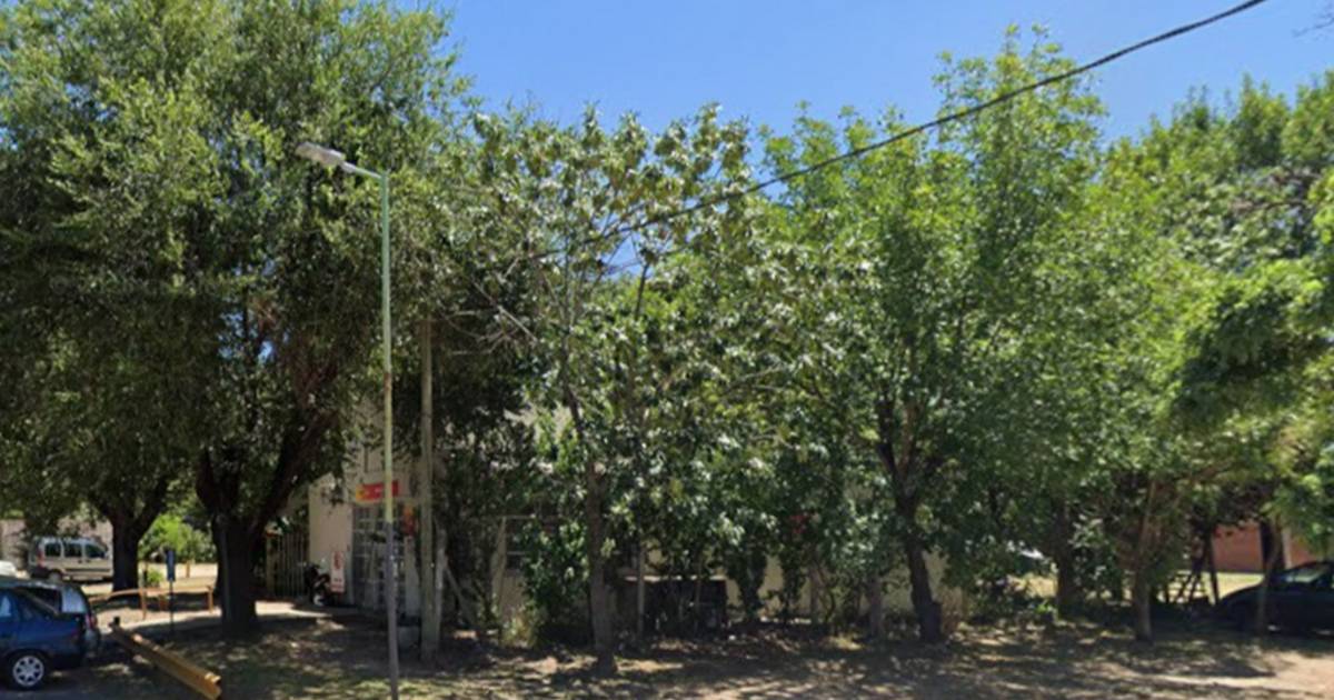 Lo que faltaba: ladrones saquearon esta vez un centro de salud en Tolosa | El Dia