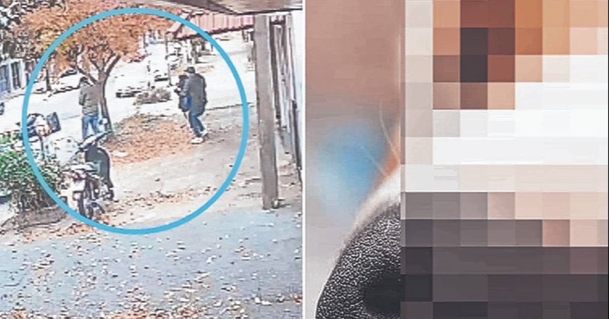 Crueldad extrema en La Plata: para robar, mataron y drogaron a perros | El Dia