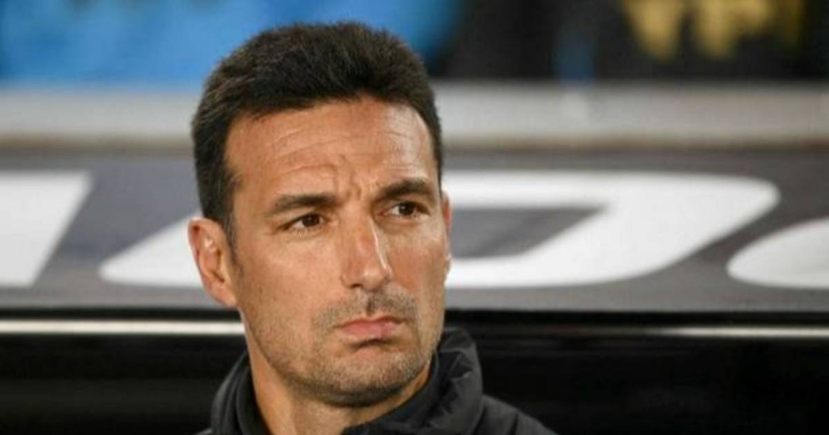 Acá están, estos son... los 26 elegidos por Scaloni | El Dia