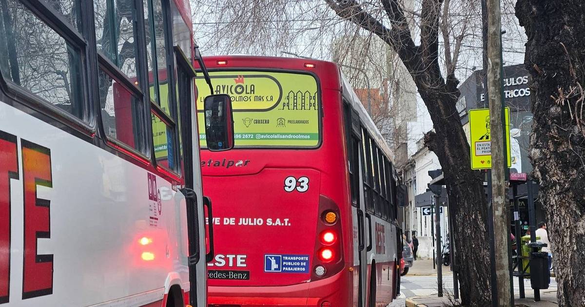 Los precios subieron un 2,2%: transporte y servicios lo que más aumentó | El Dia