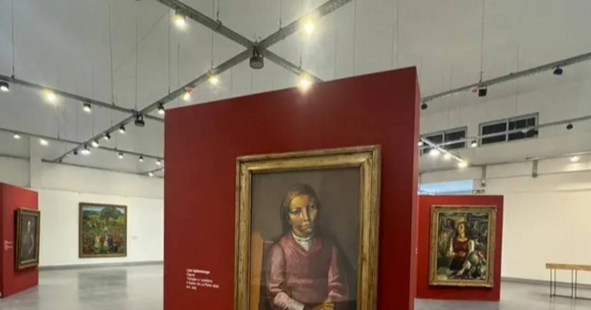 El Pettoruti presenta una muestra dedicada al pintor alemán Guillermo Düvelmeyer | El Dia