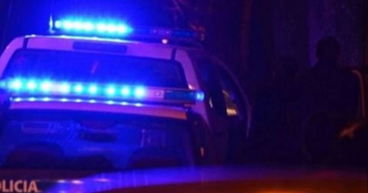 La crueldad sin límites: sospechan que mataron a dos perros para robar | El Dia