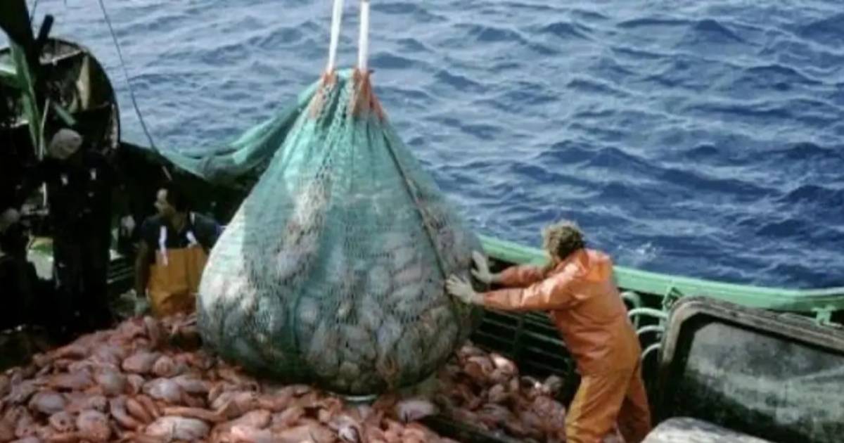 El fuerte impacto de la pesca ilegal en el Atlántico sur jaquea al país | El Dia