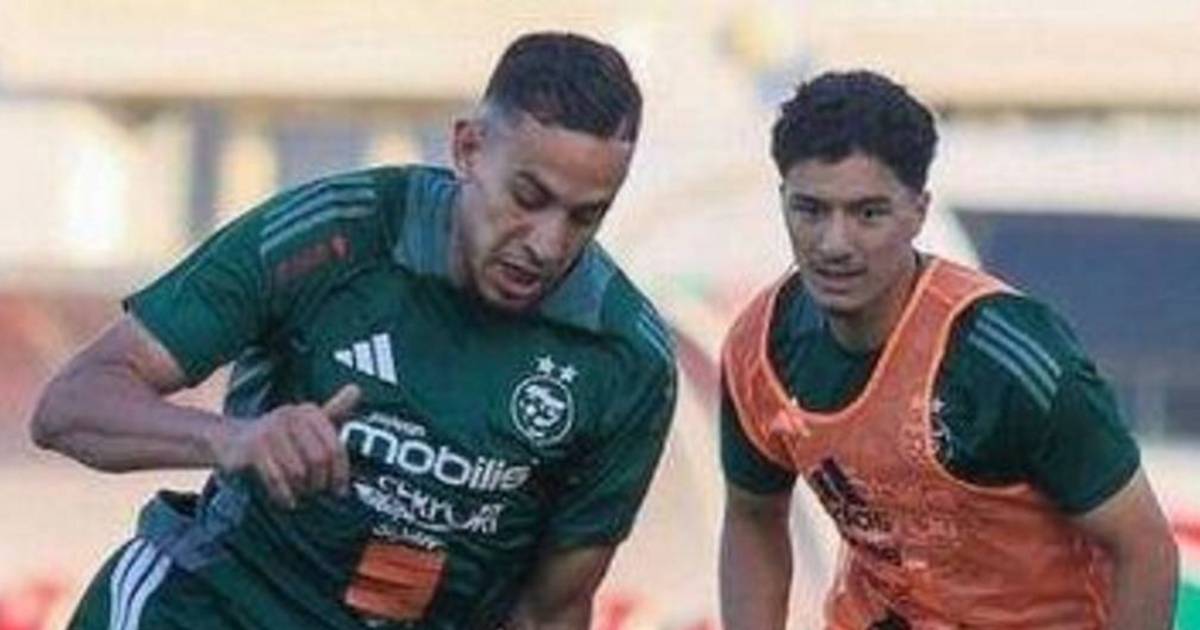 Carlos Lampe contó cómo juega Argelia y sus debilidades tácticas | El Dia