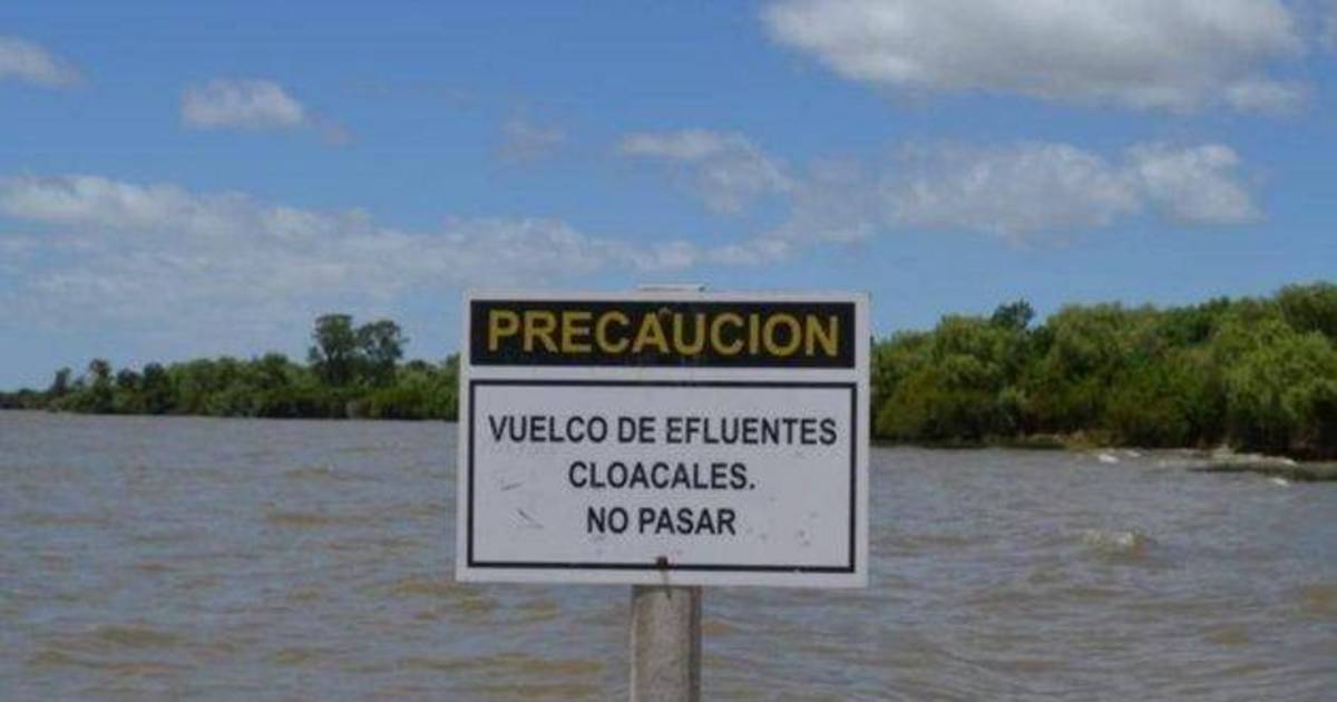 Presentaron un plan de saneamiento para las costas del Río de la Plata | El Dia