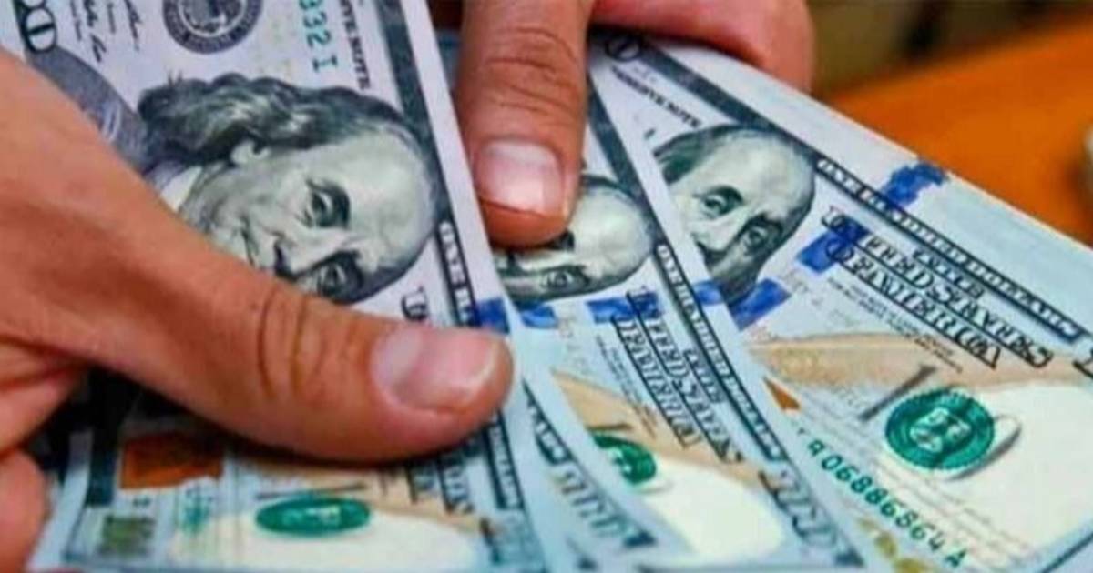 Subieron los dólares, las acciones y el riesgo país | El Dia