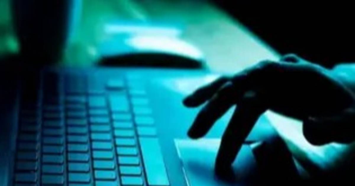 Pérdidas millonarias en una nueva estafa virtual | El Dia