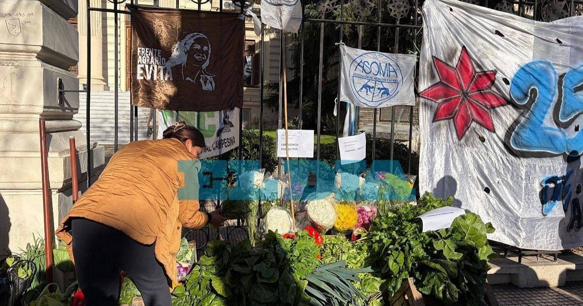 Productores locales reclaman medidas frente a la crisis del sector | El Dia