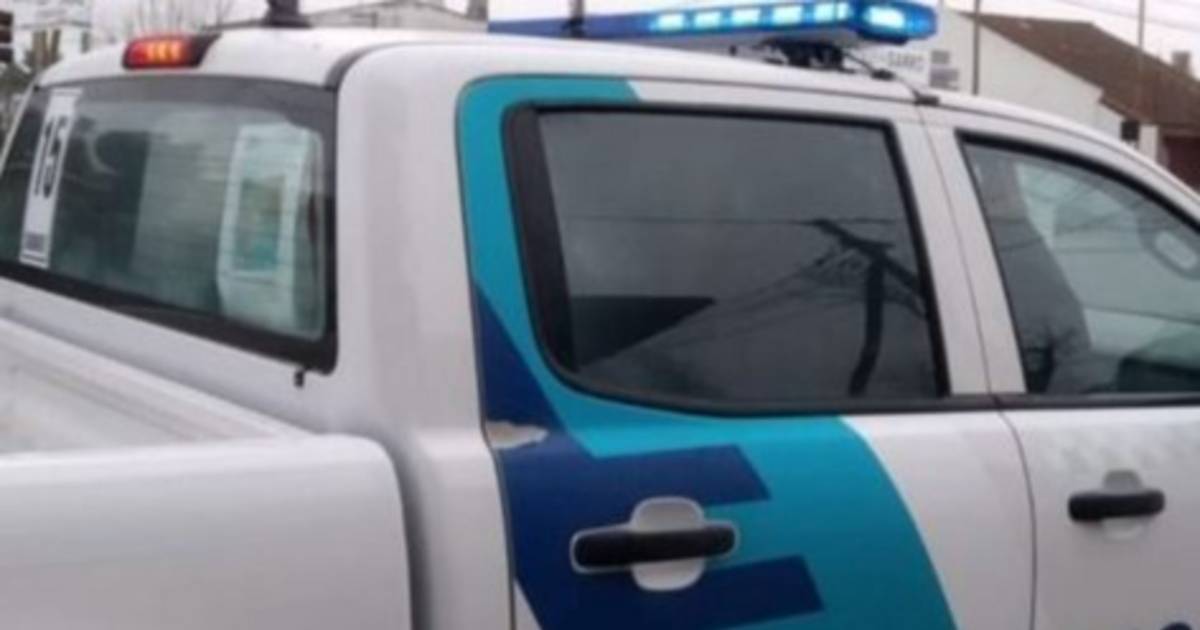 Una vecina de Abasto busca a su perro Chicho | El Dia