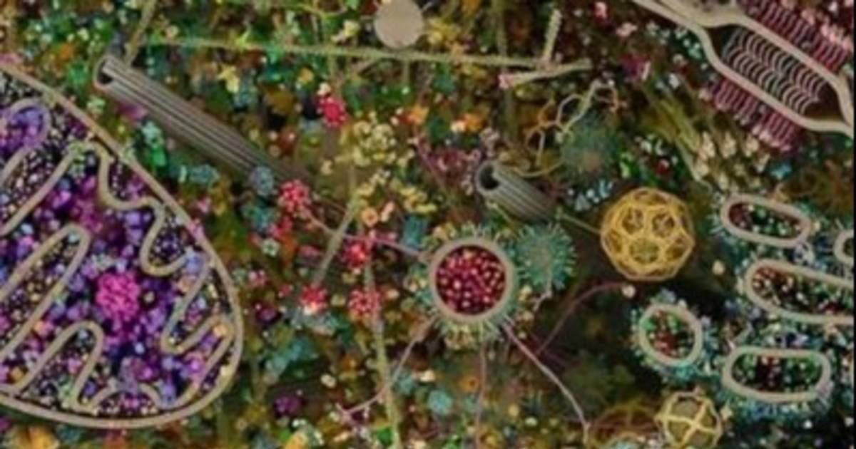 Logran crear una célula sintética funcional | El Dia