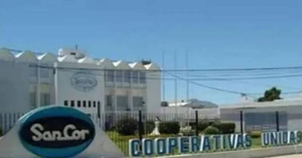 La Justicia frenó la venta de la cooperativa láctea SanCor | El Dia