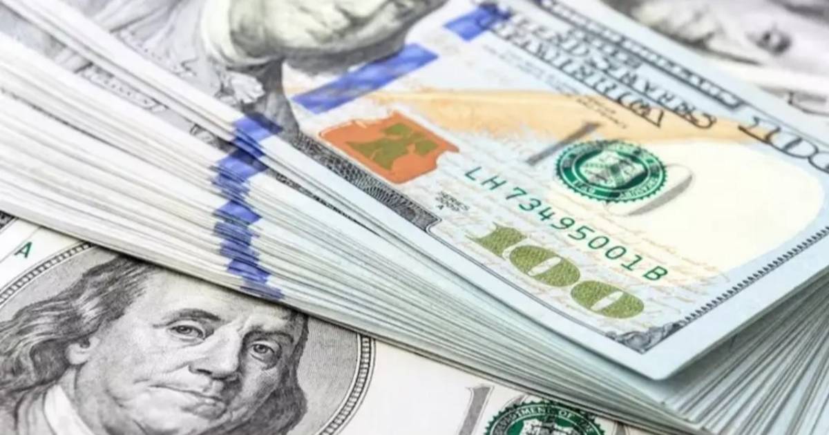 Economía emitirá un nuevo bono en dólares en el mercado local | El Dia
