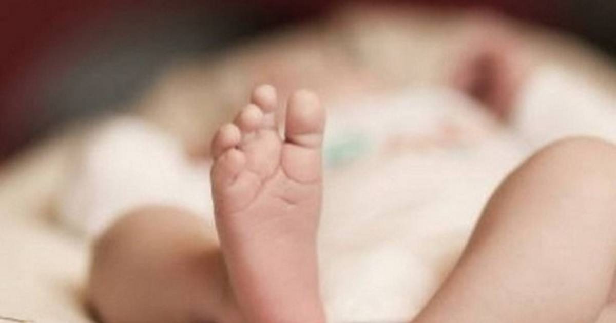 La caída de natalidad exige tocar lo intocable | El Dia