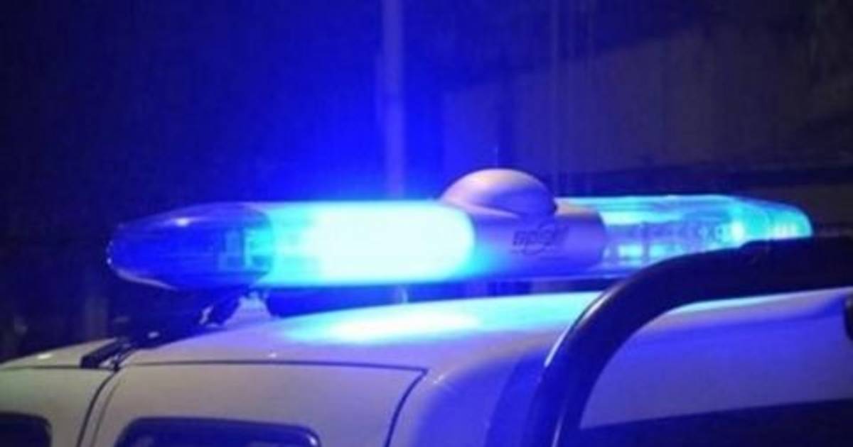 Quién era el jinete que falleció junto a su caballo en La Plata | El Dia