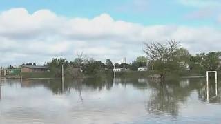 Evacuaron 147.000 cabezas de ganado por inundaciones en cinco provincias