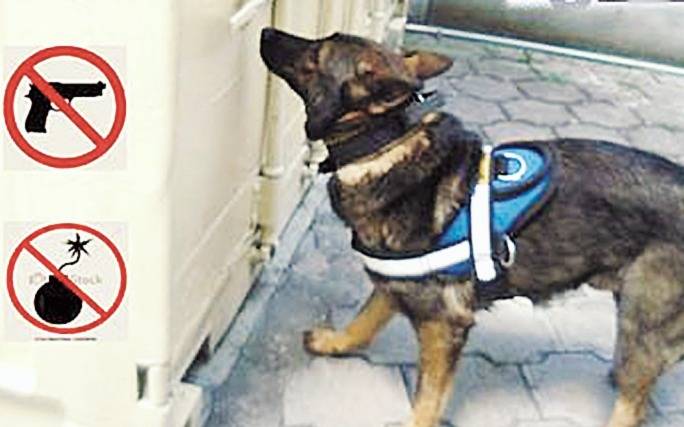 Una unidad canina le hace frente al terror en las cárceles mexicanas