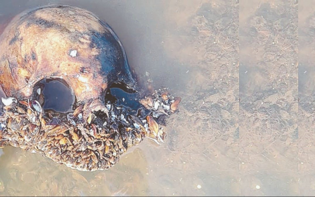 Macabro hallazgo en Punta Lara: un vecino caminaba y encontró restos óseos