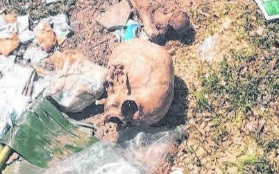 Desconcierto en San Carlos por el hallazgo de restos óseos