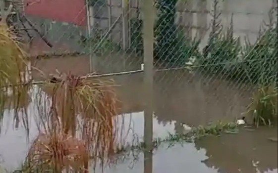 Tormenta y desborde del Arroyo El Gato en San Carlos
