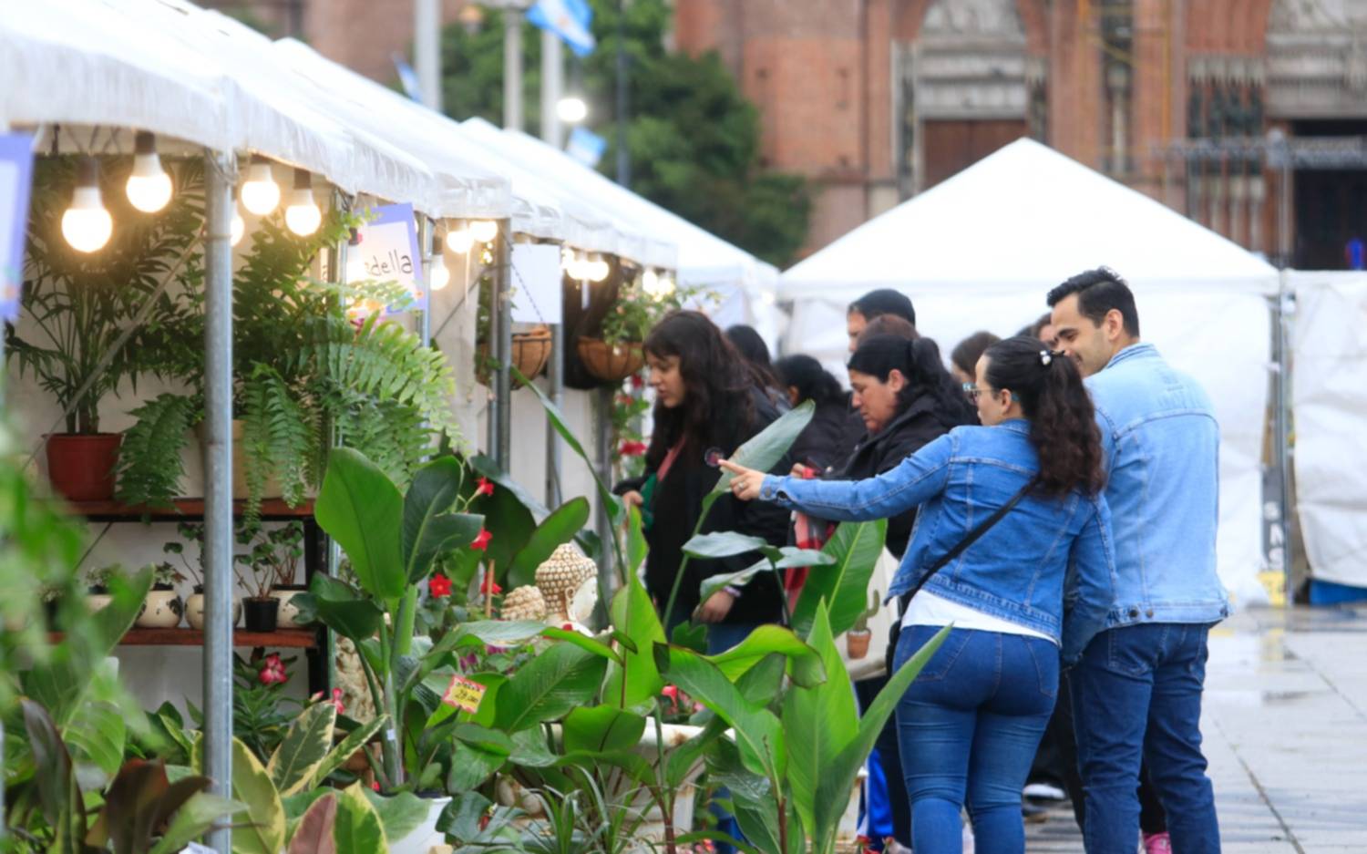 Tras la lluvia y el viento, se hizo “La Plata en flor” en la plaza Moreno
