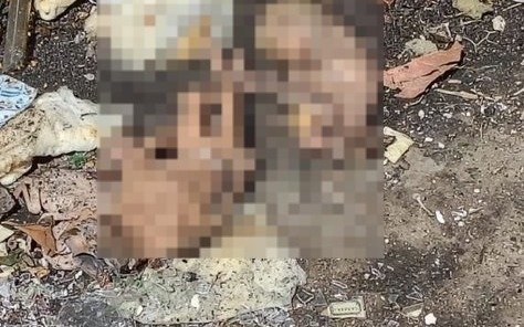 Horror en Wilde: hallaron fetos humanos en la basura