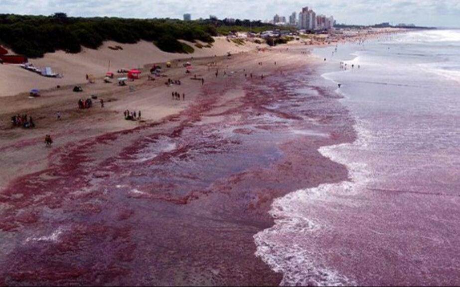 Sorpresa en la Costa: el mar se tiñó de rojo desde Mar del Plata a Necochea
