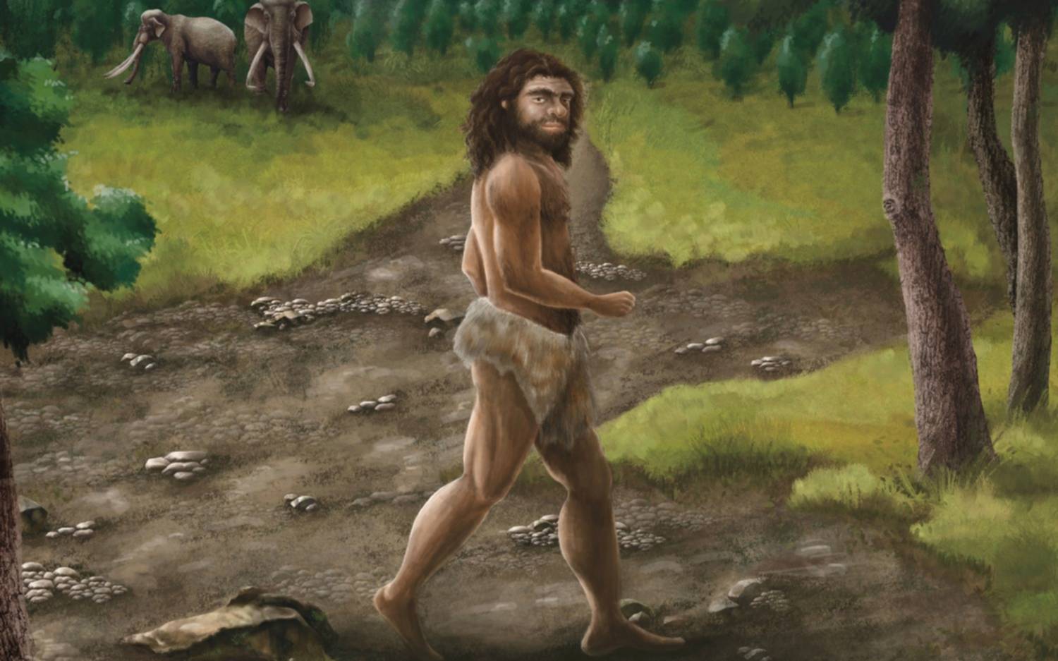 Denisovanos, un grupo de misteriosos “primos” del hombre 