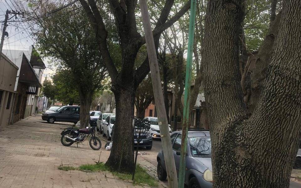 Un palo a la deriva causa miedo en el barrio Hipódromo