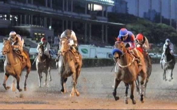 Turf – Programas y Resultados