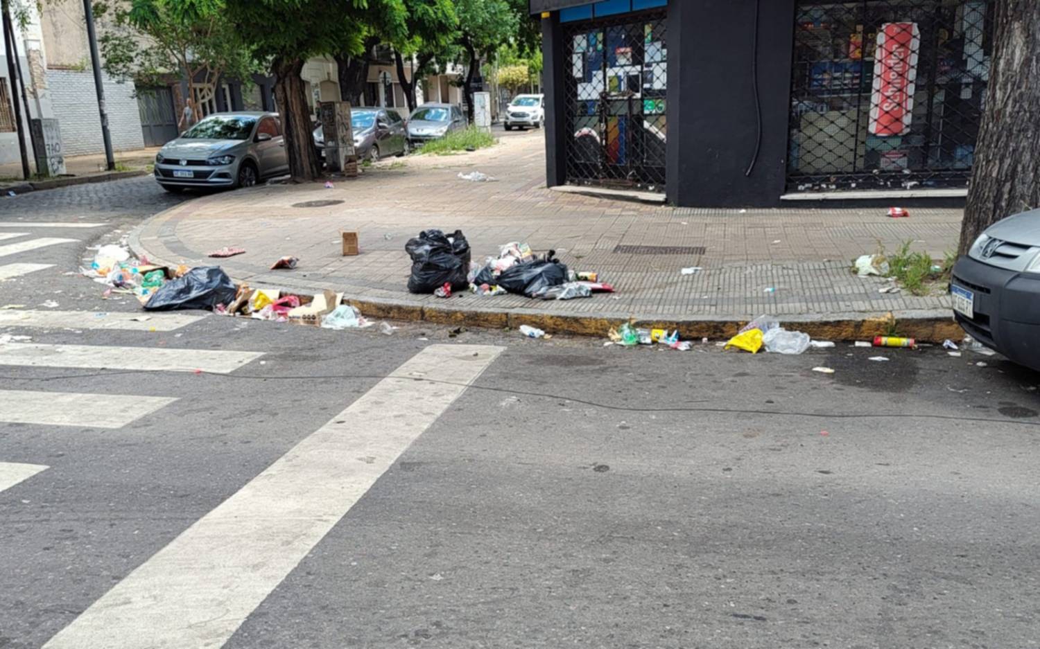 Basura desparramada por dos cuadras sobre calle 13