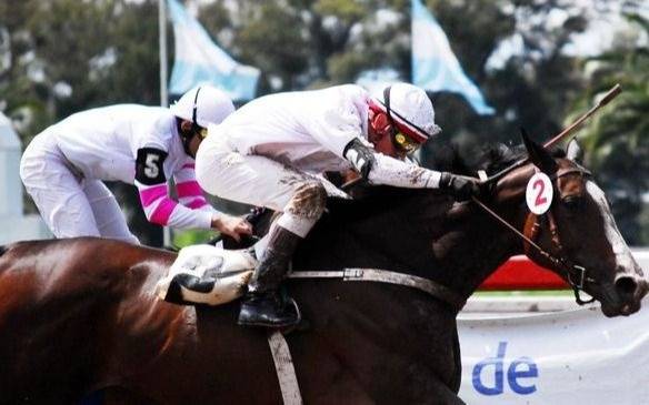 Turf - Programa y resultados