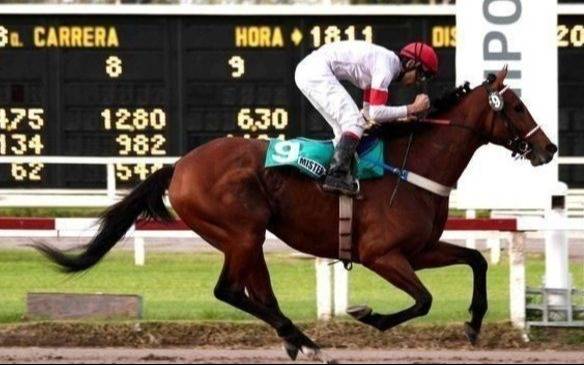 Turf – Programas y Resultados